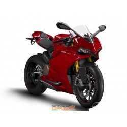 Carena Racing  Ducati 1199 Panigale