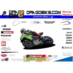 Motorbike Stickers Kit Kawasaki SKB 2012