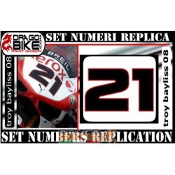 Race number 21 Troy Bayliss 08