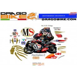 Kit Adhesivo Moto Aprilia MS team 250GP 2003