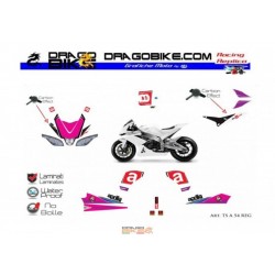 Stickers Kit Aprilia Total TS  54 Reggiani Tribute