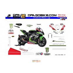 Kawasaki SBK 2017 Race replica stickers kit