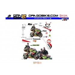 Kit de adhesivos carrera Kawasaki SBK 2013 Tom Sykes