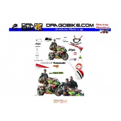 Race stickers kit Kawasaki SBK 2013 Tom Sykes