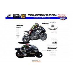 Prueba de kit de pegatinas de carrera Kawasaki SBK 2013