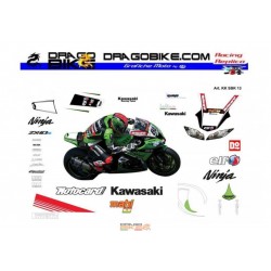 Kawasaki SBK 2013 replica Race stickers kit